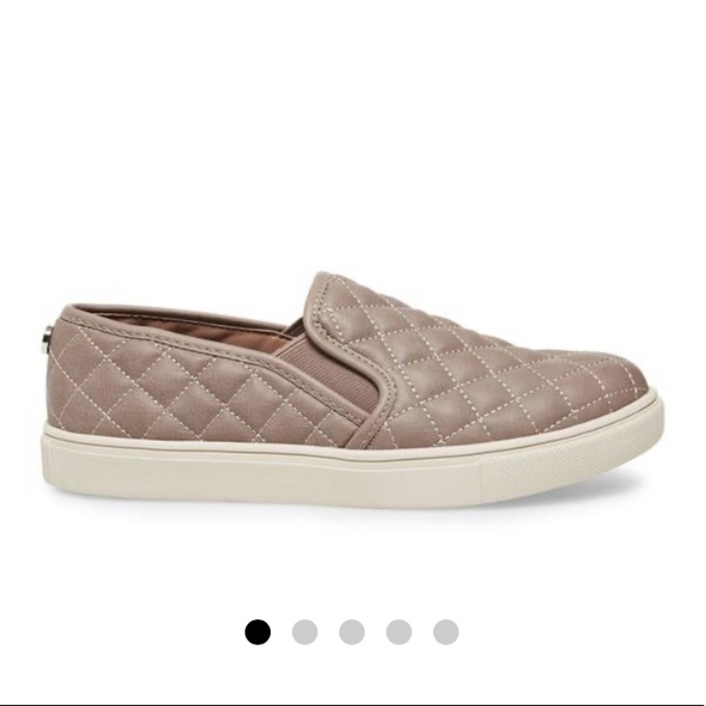 Steve Madden Women's Ecentrcq Sneaker